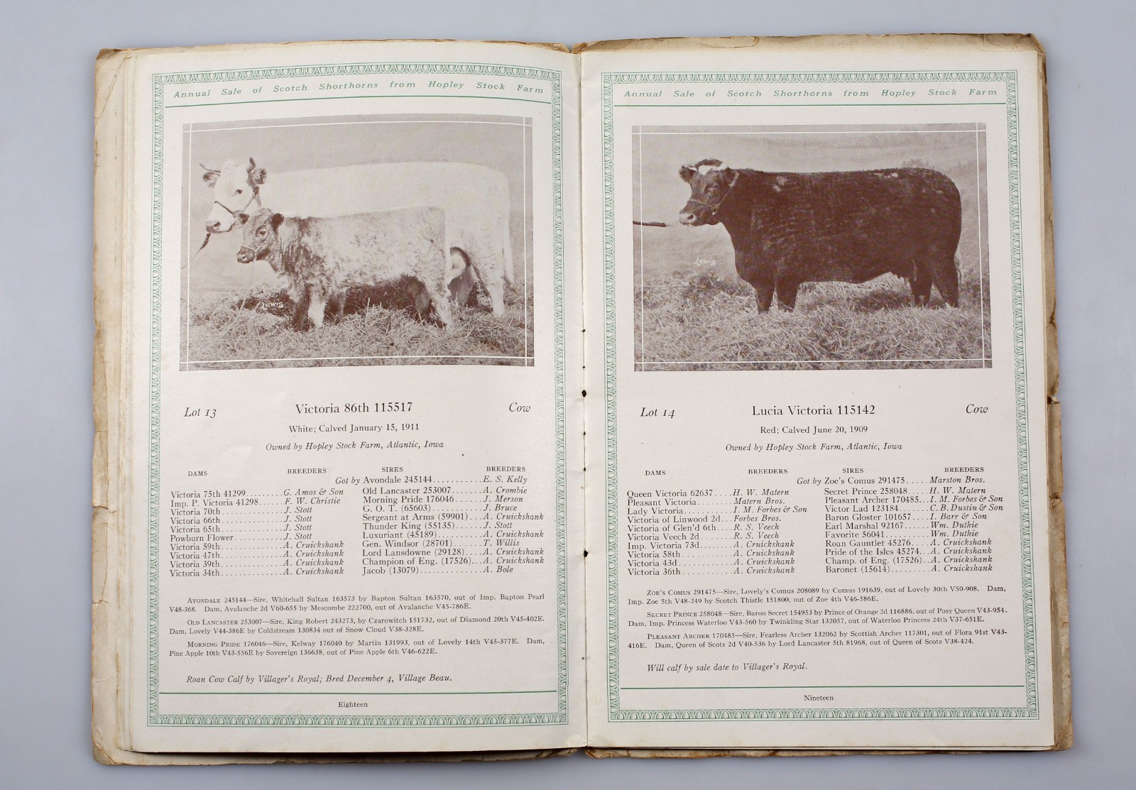 1918 Scotch Shorthorns Livestock Sale Catalog Hopley Stock Farm Atlantic Iowa