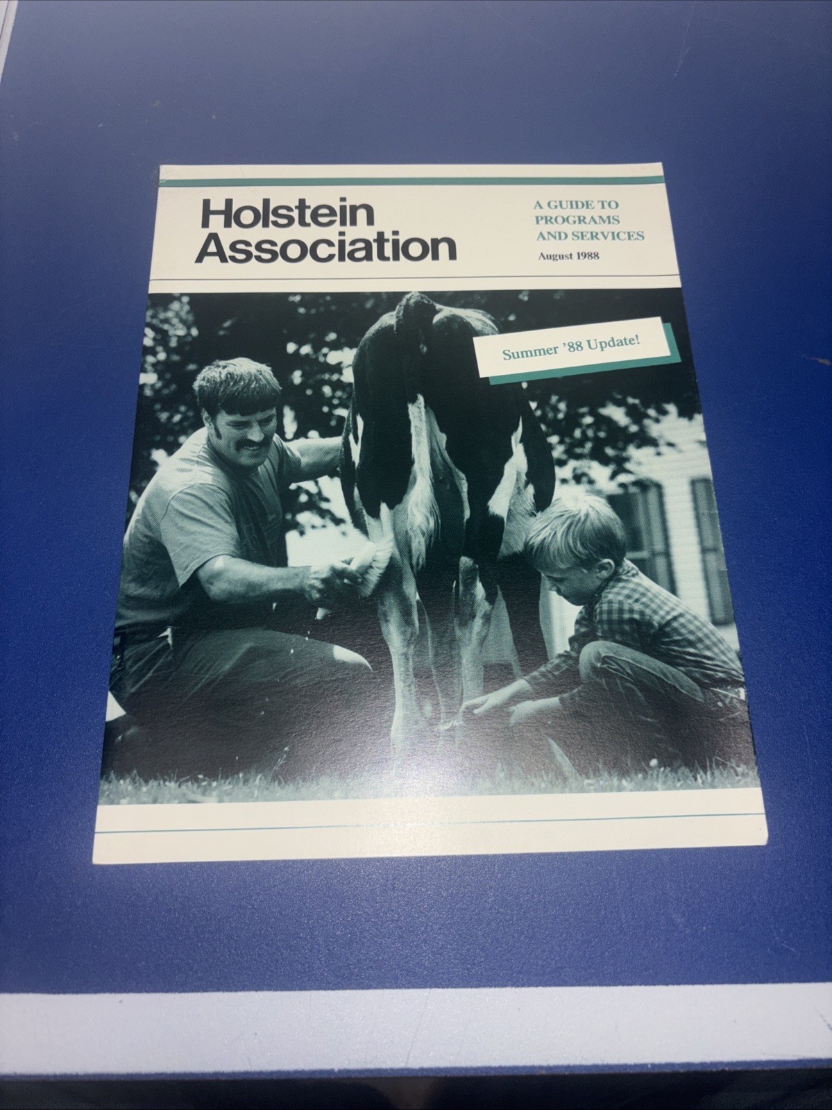 1988 Summer Holstein Association Brochure Guide To Programs & Services