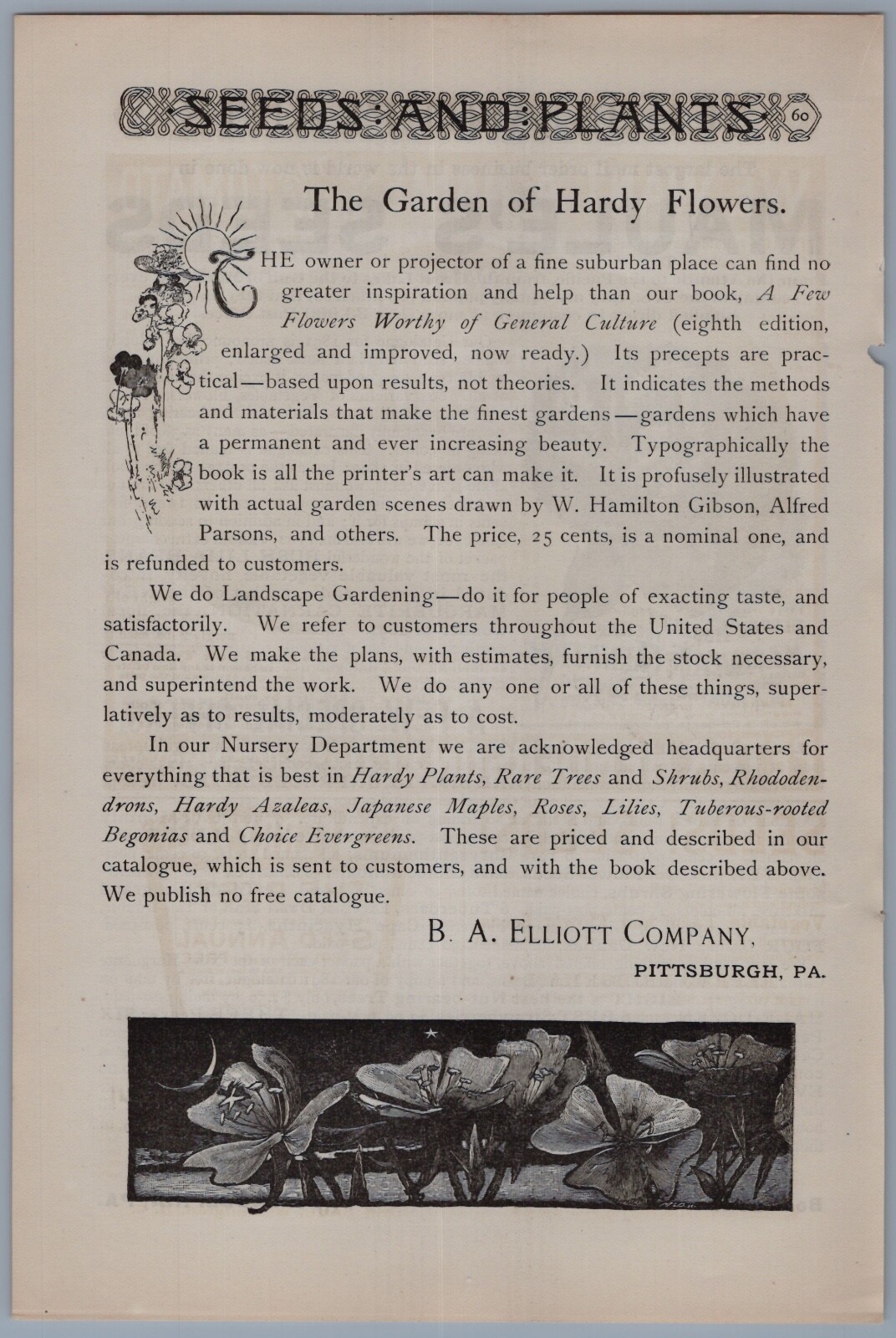1891 Maules Seeds Vintage Ad Marguerite Carnation Flower Garden Gardening