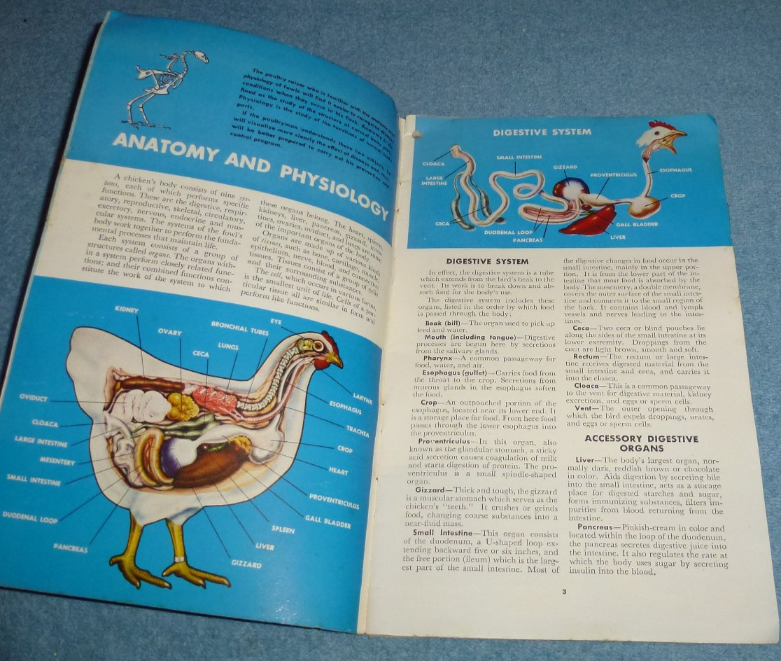 1948 Dr. Salsbury&rsquo;s Manual of Poultry Diseases Advertising Booklet
