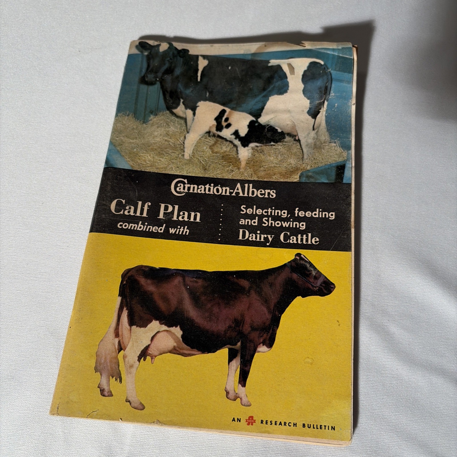 Carnation -Albert’s 1968 Calf Planning #154