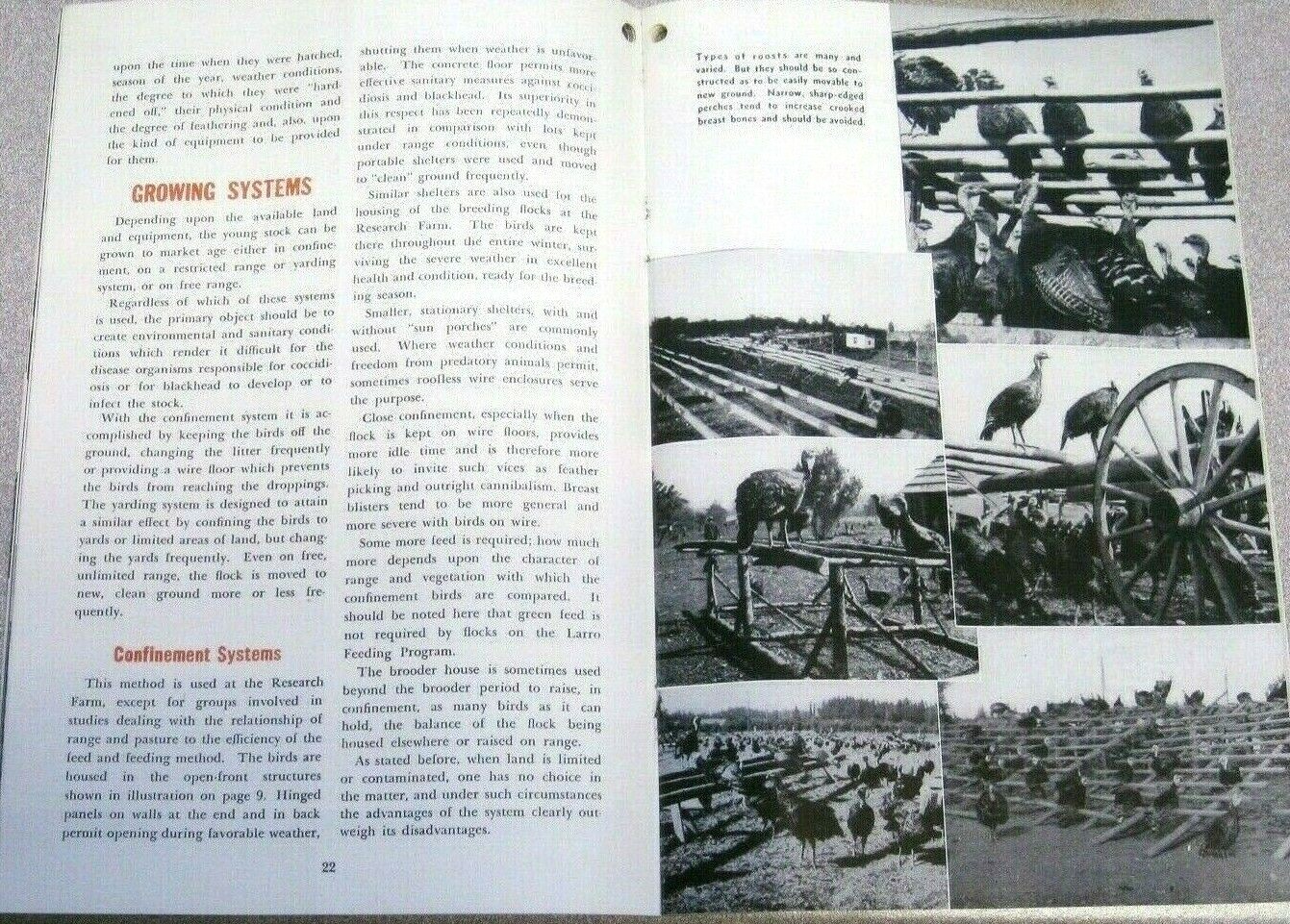 Vintage 1947 General Mills The LARRO Feeds TURKEY BOOK