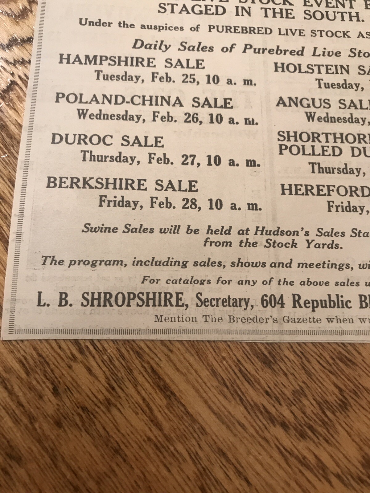 1919 Pig & Cattle Public Sale – Louisville – Kentucky – Cow Advertising