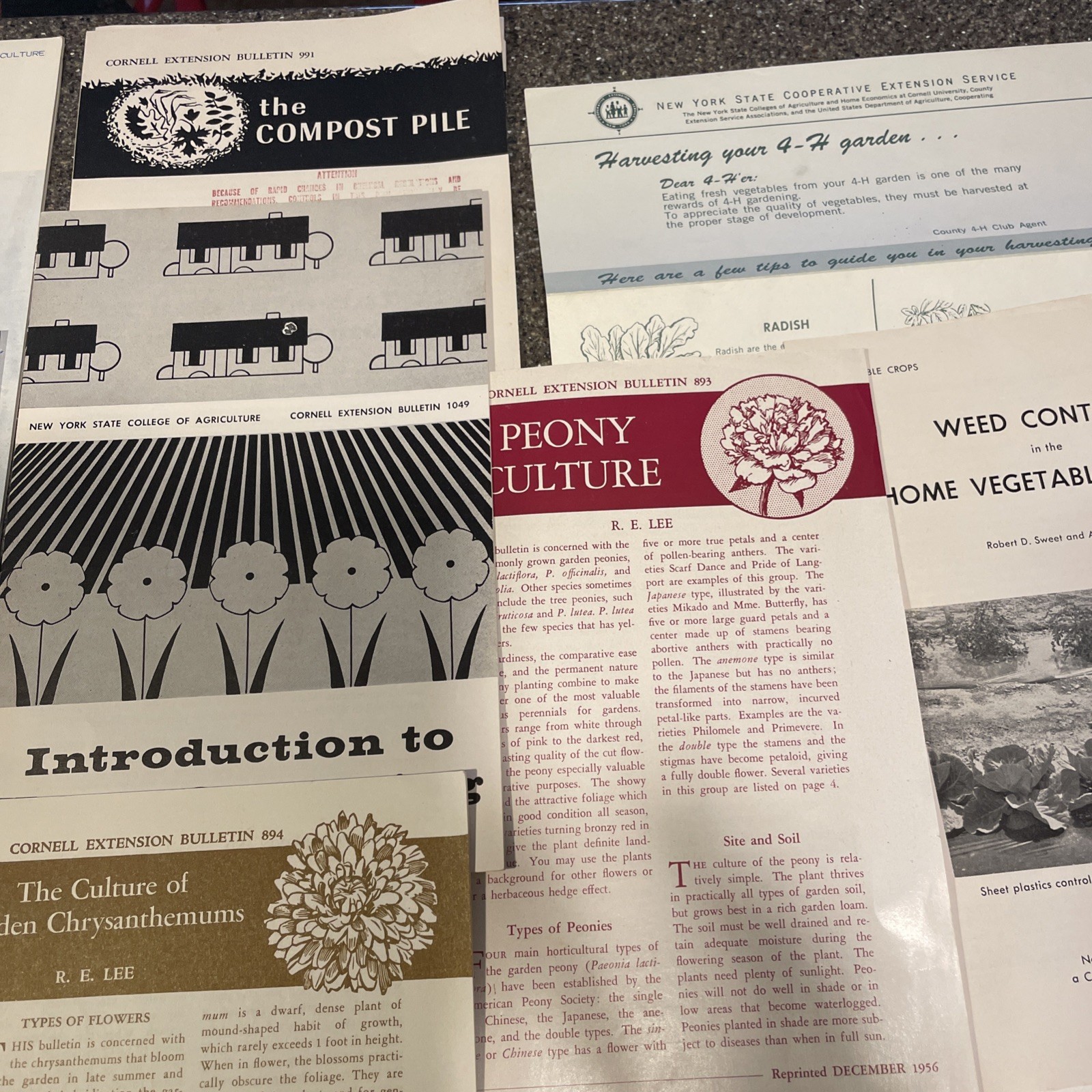 Large Lot Vintage 4H And Cornell Cooperative Extension Gardening Brochures.