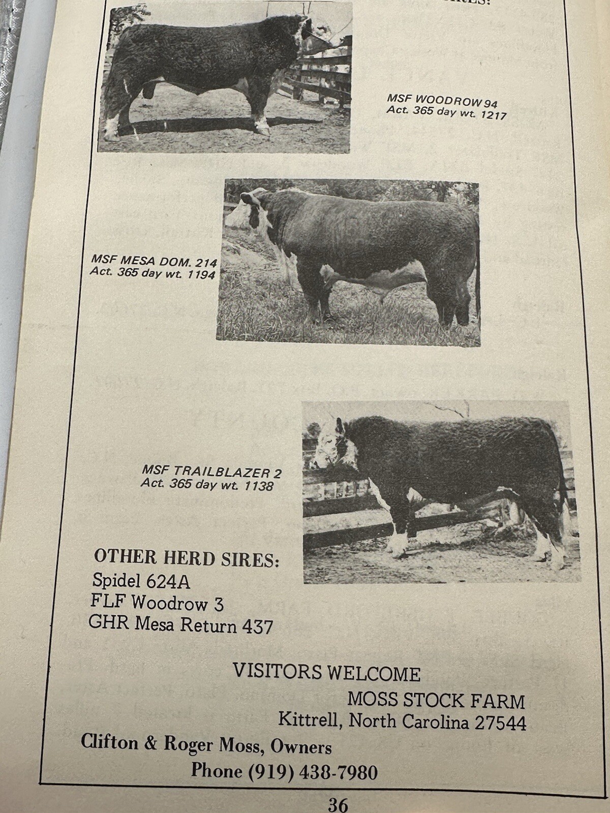 NC Breeder’s Directory Polled Hereford Association Cattle Catalog North Carolina