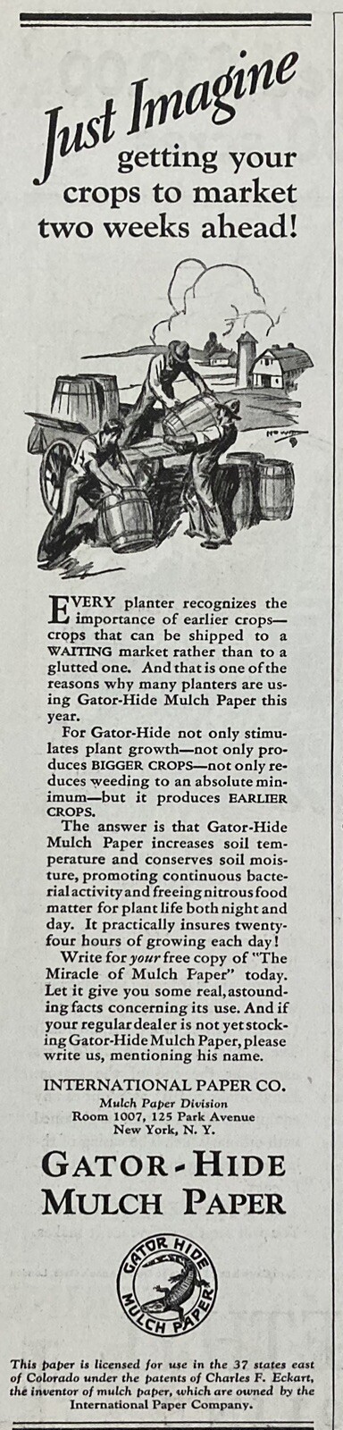 1929 AD.(XH70)~INTERNATIONAL PAPER CO. NYC. GATOR-HIDE MULCH PAPER