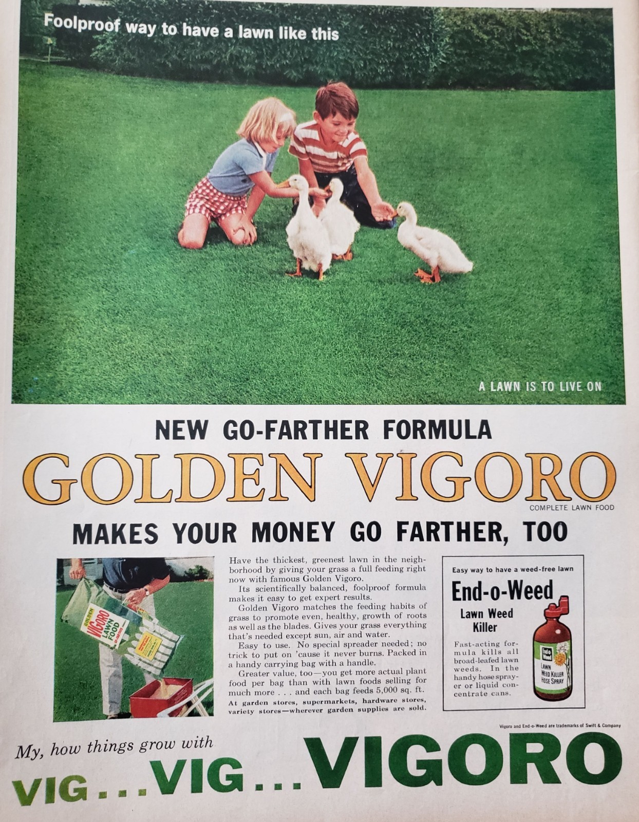 Golden Vigoro Plant Food Print Ad 1956 Ephemera Wall Art Decor End o Weed