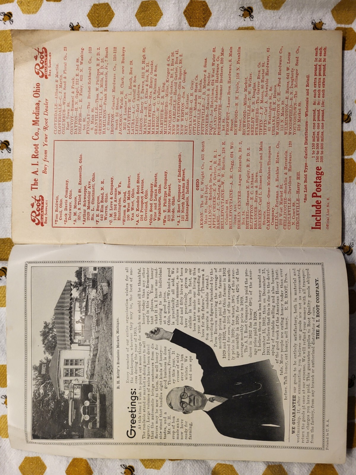 1933 A.I Root Co. Quality Bee Supplies Catalog Vintage Original Medina Ohio