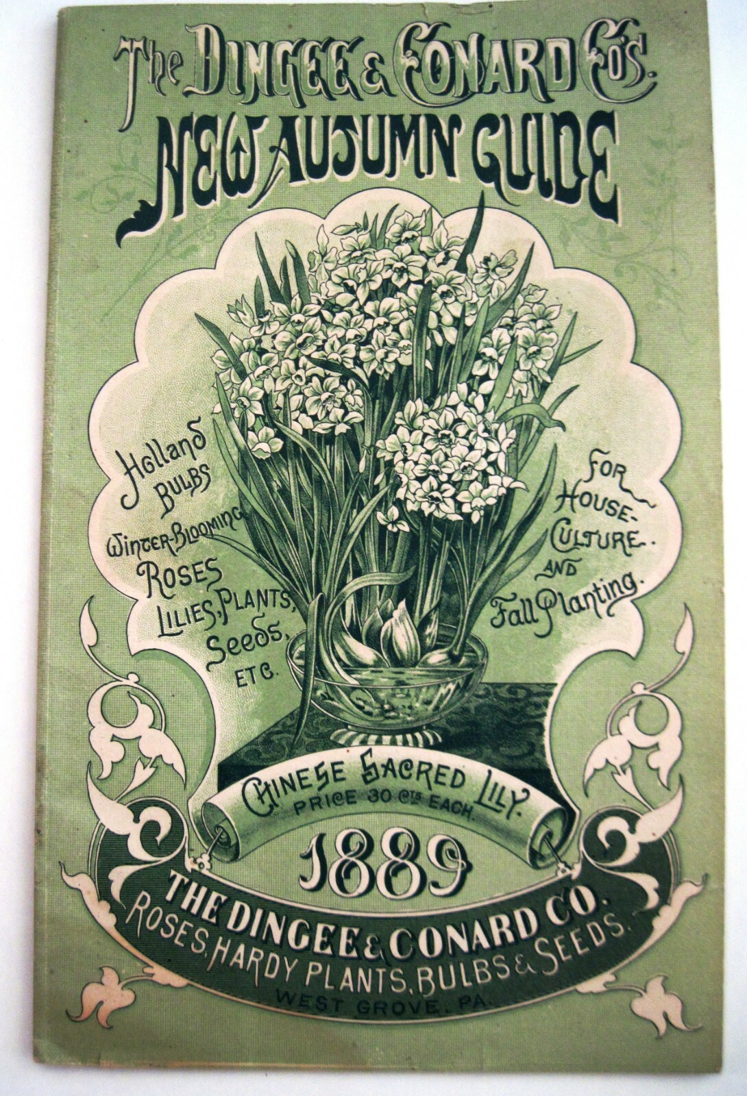 1889 Catalog « New Autumn Guide » for Holland Bulbs, Roses & Lilies & Seeds *