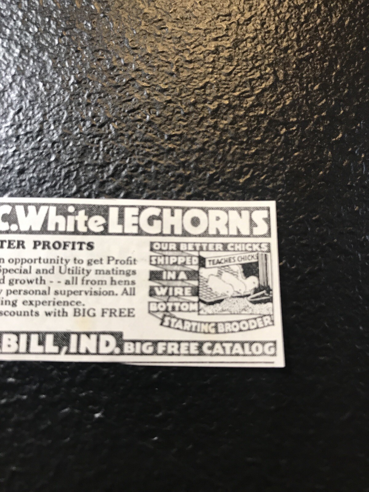 1935 Saunder’s Leghorn – Chicken Farm Advertising – Grabill – Indiana Fort Wayne
