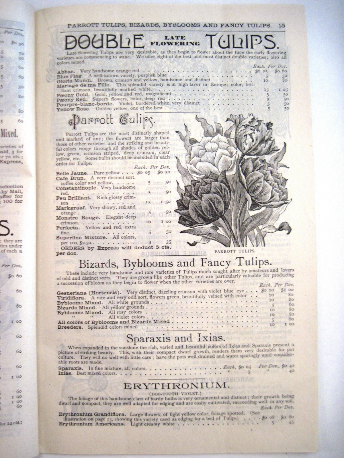 1889 Catalog « New Autumn Guide » for Holland Bulbs, Roses & Lilies & Seeds *