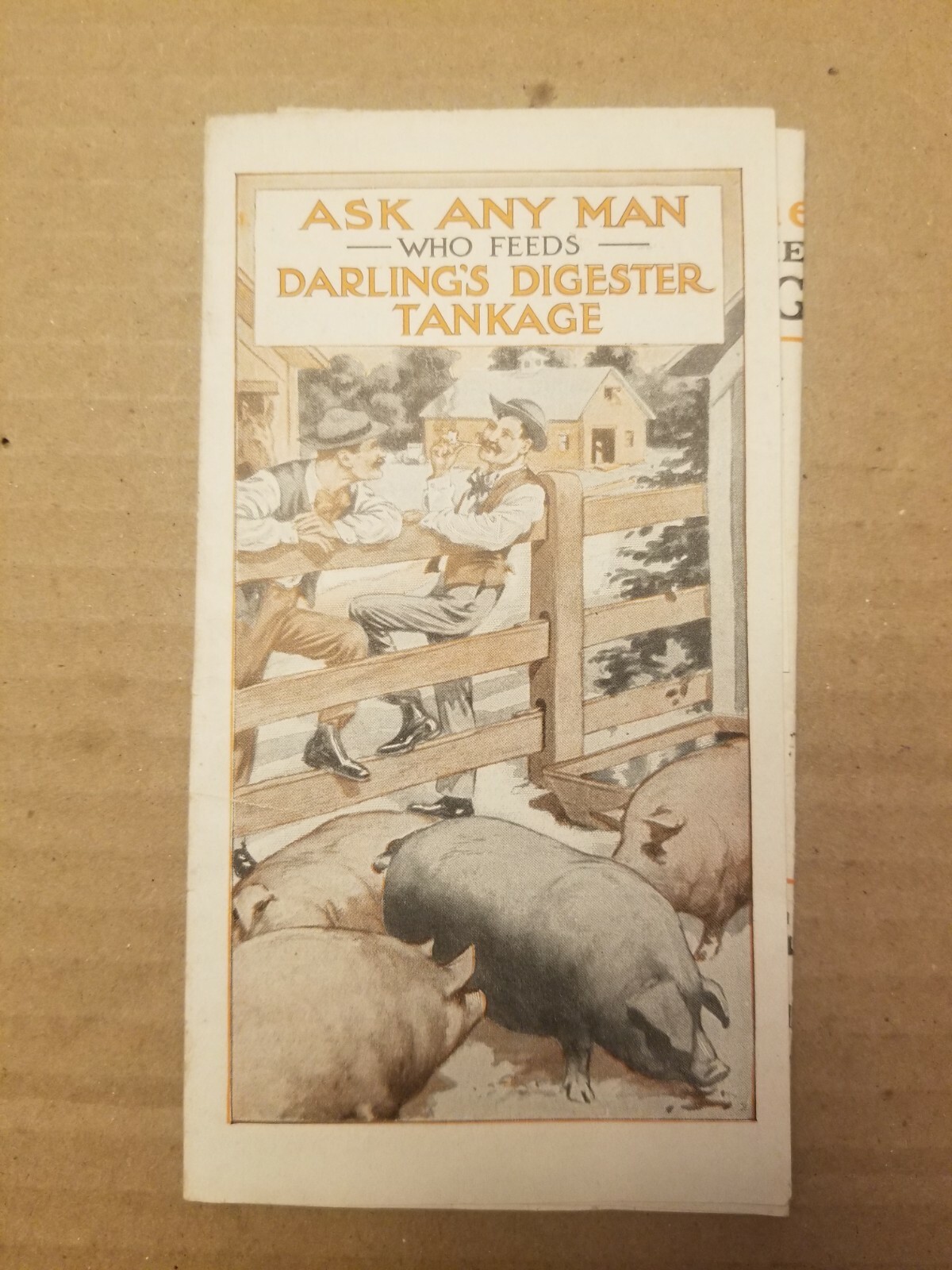 VINTAGE AGRICULTURE BROCHURE. DARLING&rsquo;S DIGESTER TANKAGE.