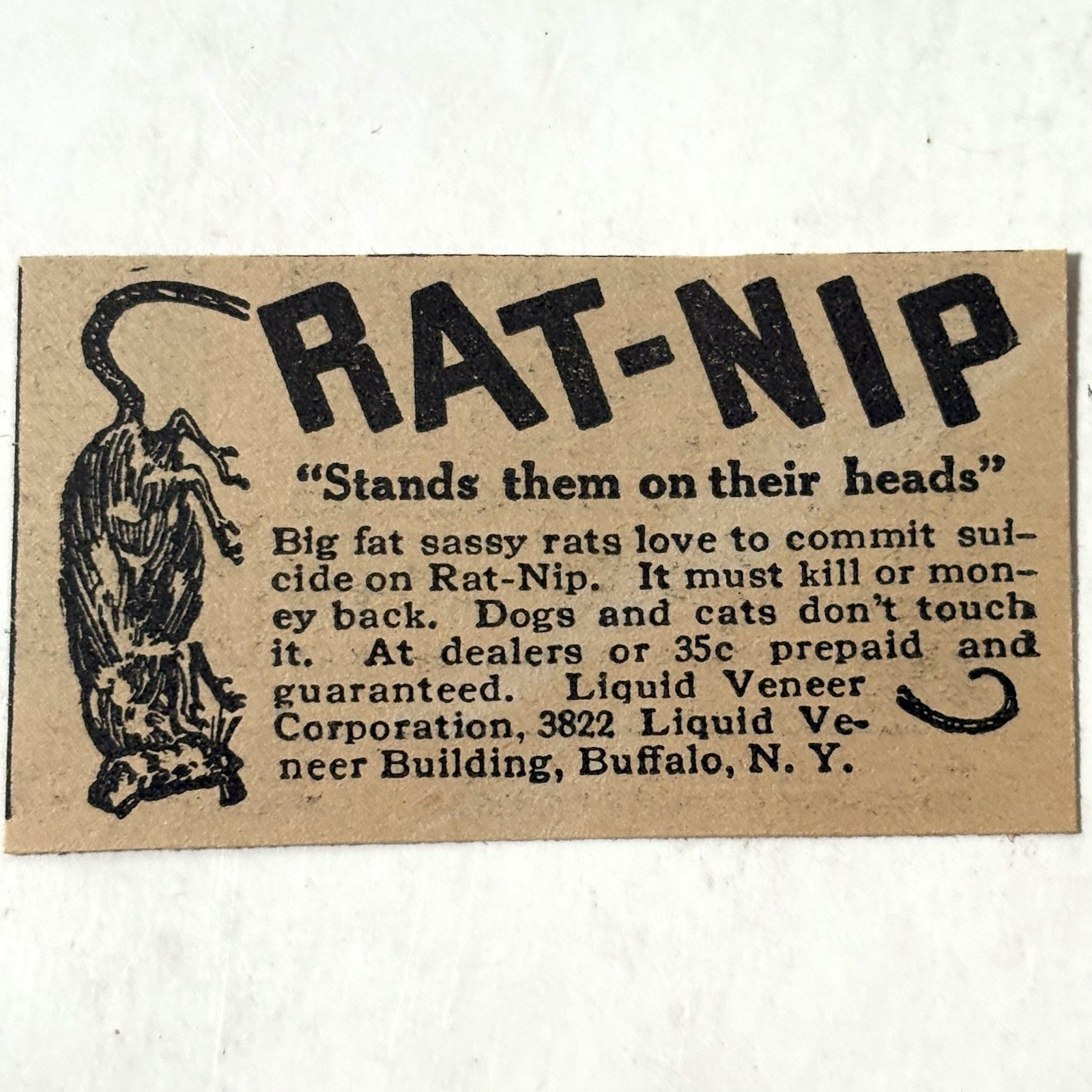 1927 Rat-Nip Vintage Magazine Print Ad Old 20s Farming Rats Pest Mice Control NY