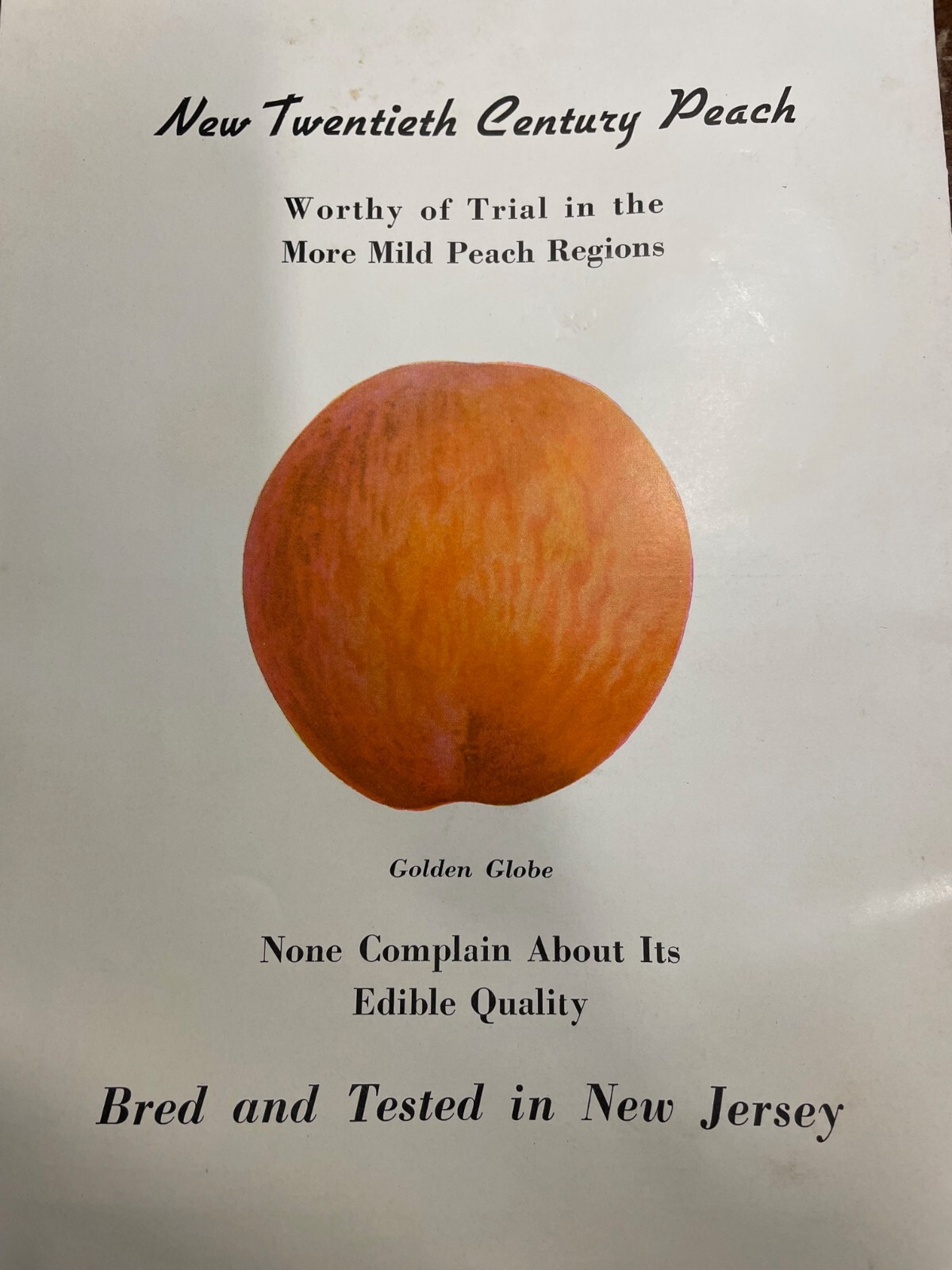 New Jersey Peach Council Farming Brochure 1939 1940 New Twentieth Century VTG