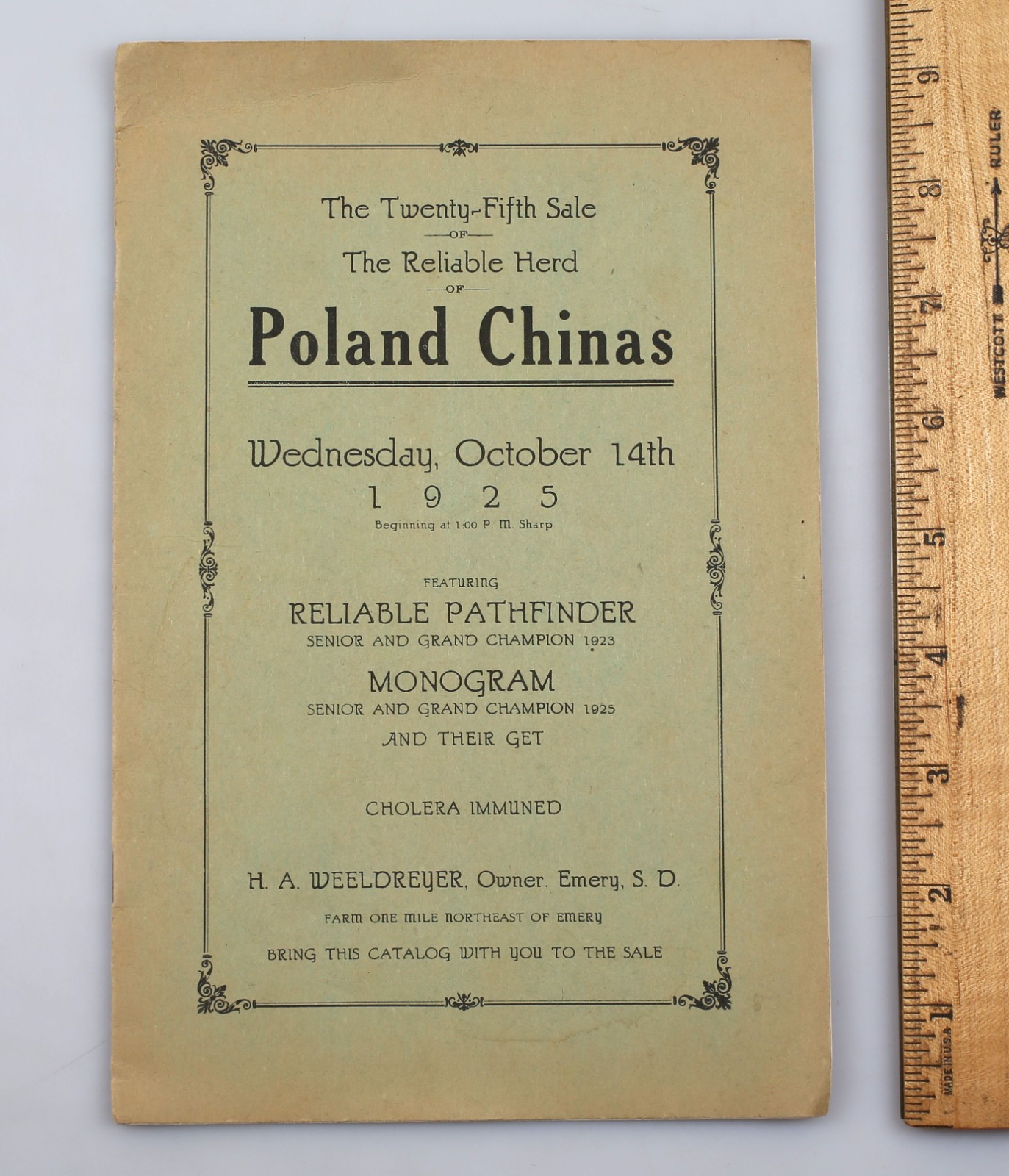 Vintage 1925 Poland China Pig Sale Cholera Immuned Emery South Dakota