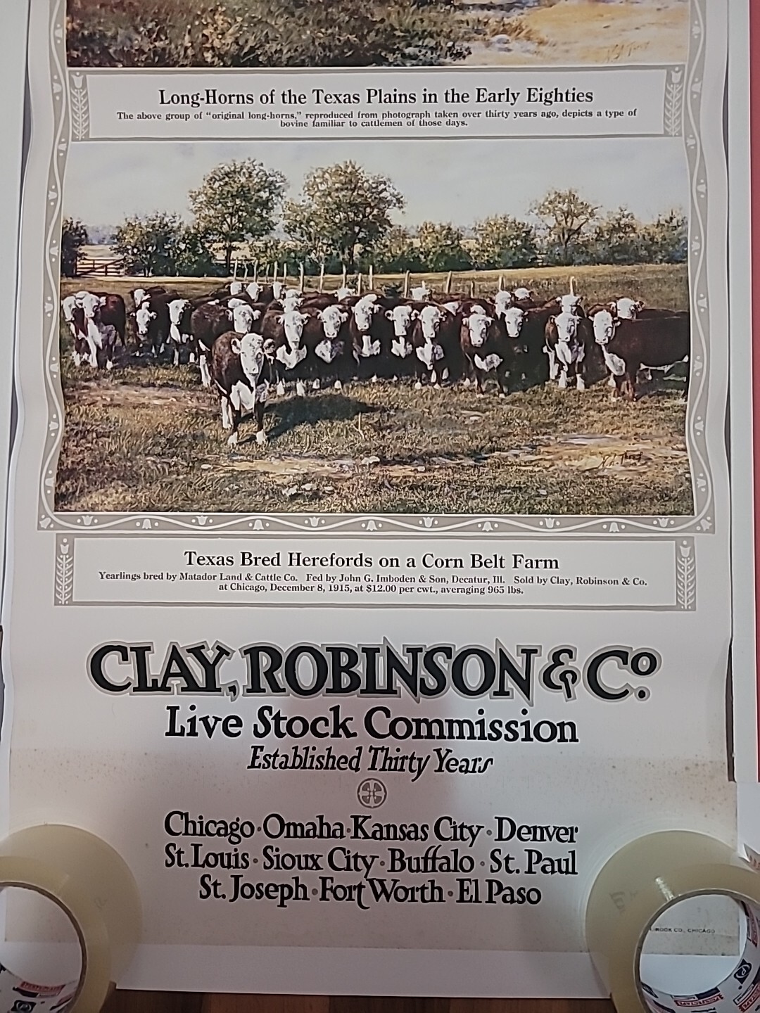 Clay,Robinson & Co Livestock Comm Ad 30yrs Beef And Breeding 18×40 Unframe Copy