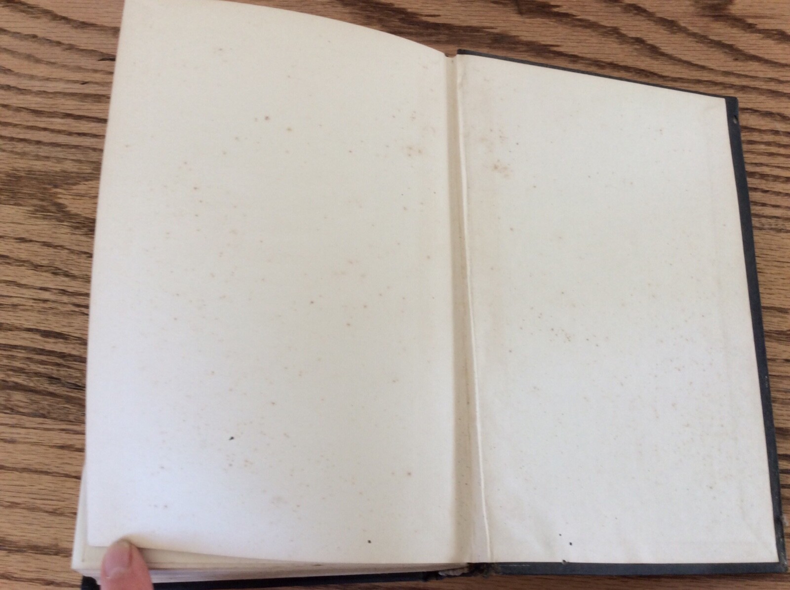 1920 National Spotted Poland-China Record Book #7 Pig Black Swine FAMILY INSIDE?