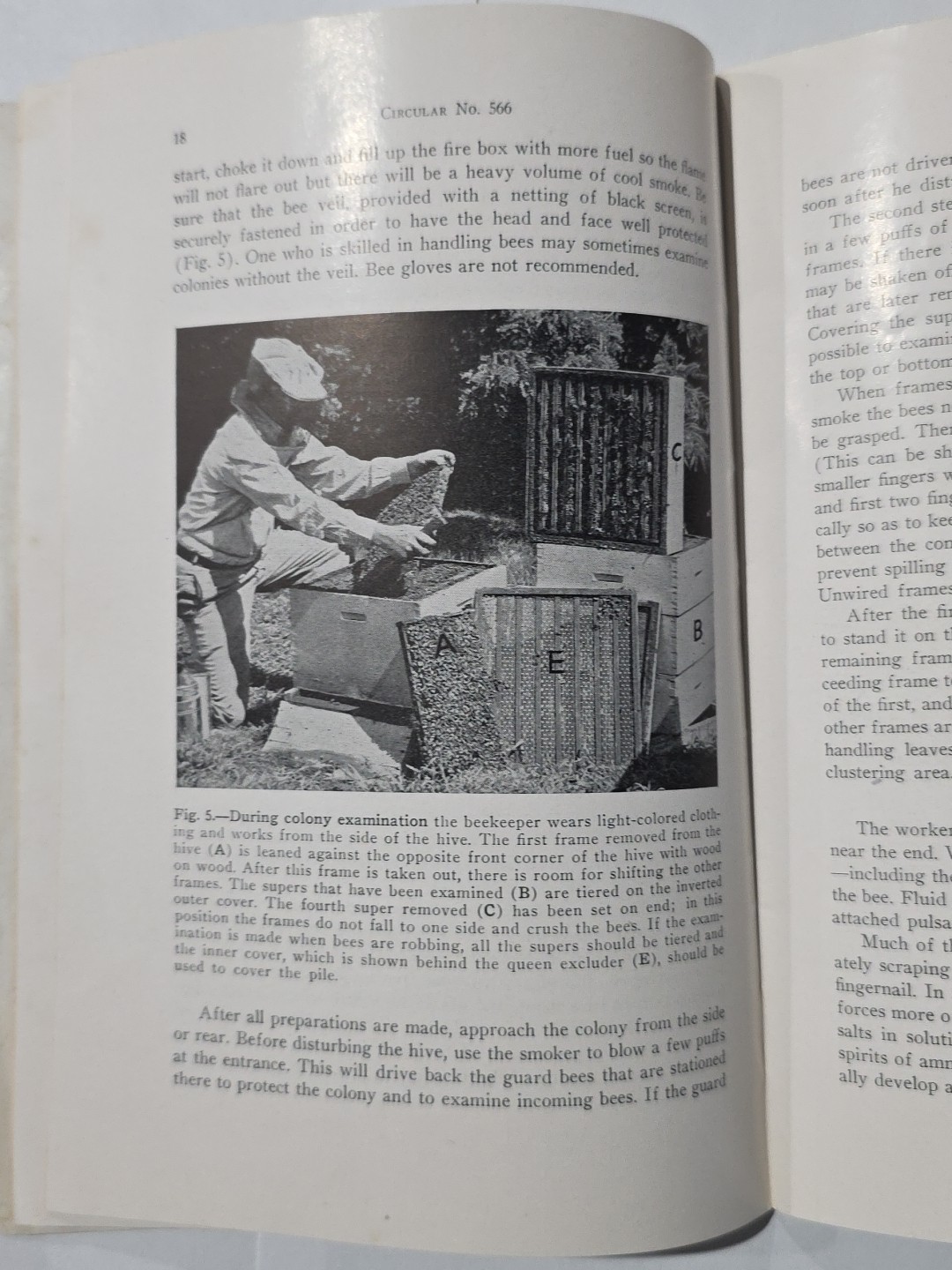 Vintage booklet: HONEY PRODUCTION by V.G. Milum Oct 1945 Reprint Univ. of IL