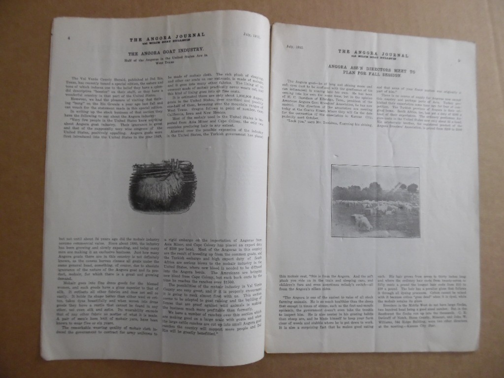 1915 Angora Goat Breeders Journal Mohair Milk Goats More Vintage Original RARE