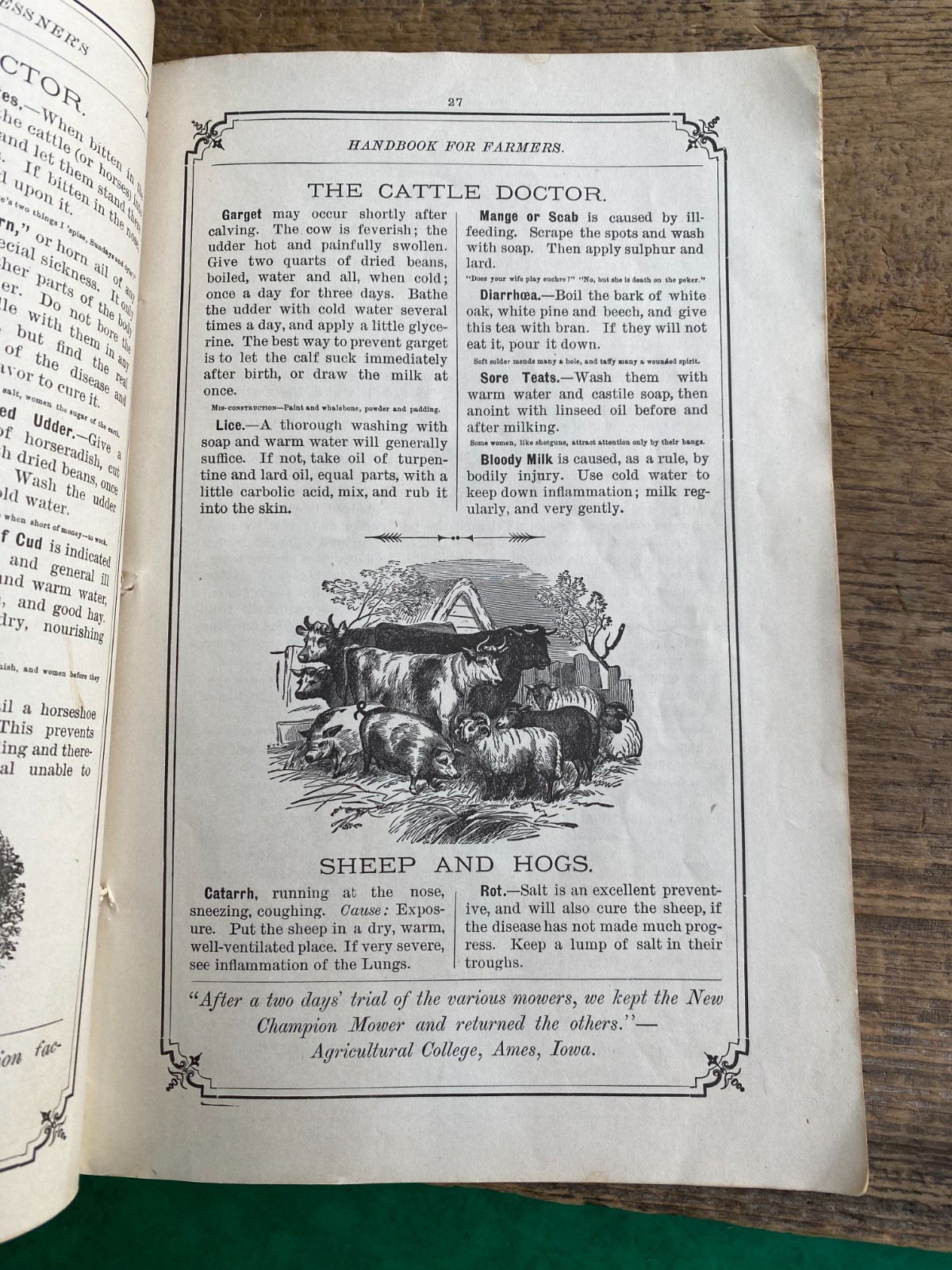 ORIGINAL CHAMPION HORSE DRAWN HARVESTING MACHINES HANDBOOK FOR FARMERS 1882