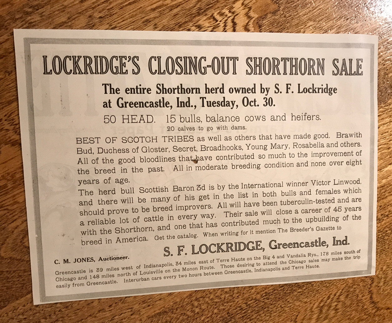 1917 Cattle Livestock Public Sale Cow – Greencastle – Indiana – Farm Advertising