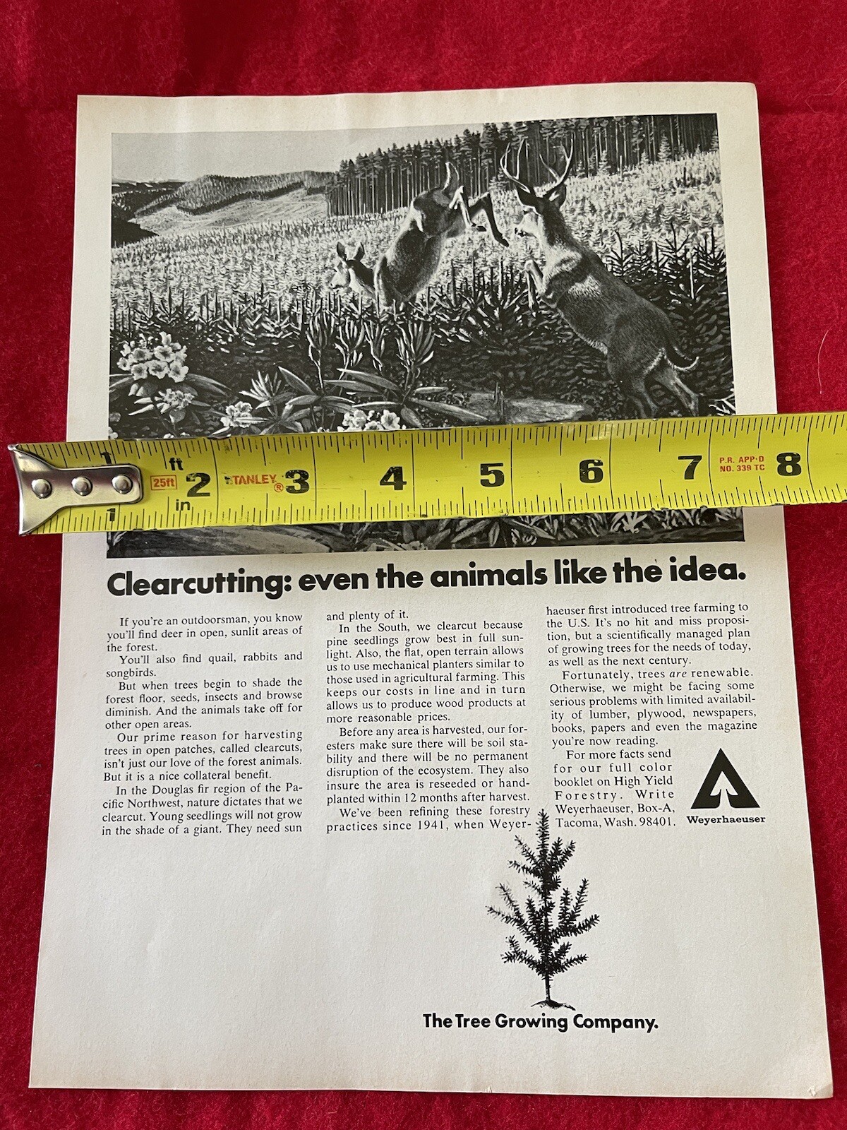 Vintage 1972 Weyerhaeuser Tree Growing Company Print Ad Clearcutting