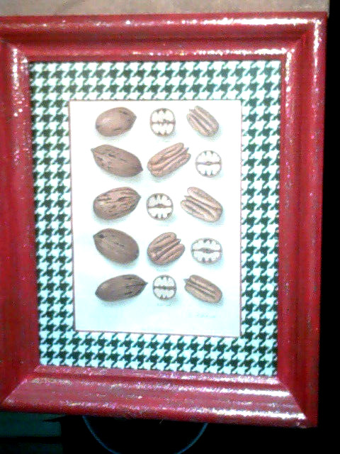 Vtg Yearbook US. Dept Agriculture Framed Pecans Lithograph by E.L.Schutt