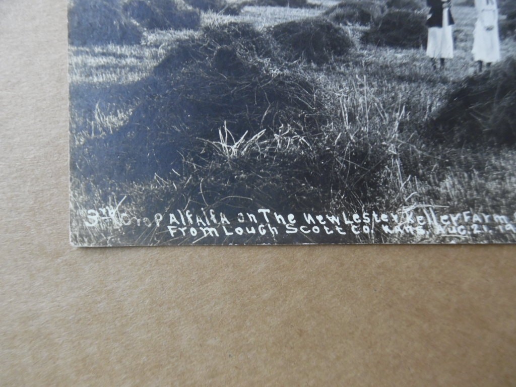1920 Alfalfa Farm Land Promo Promoter Real Photo Postcard Scott County Kansas