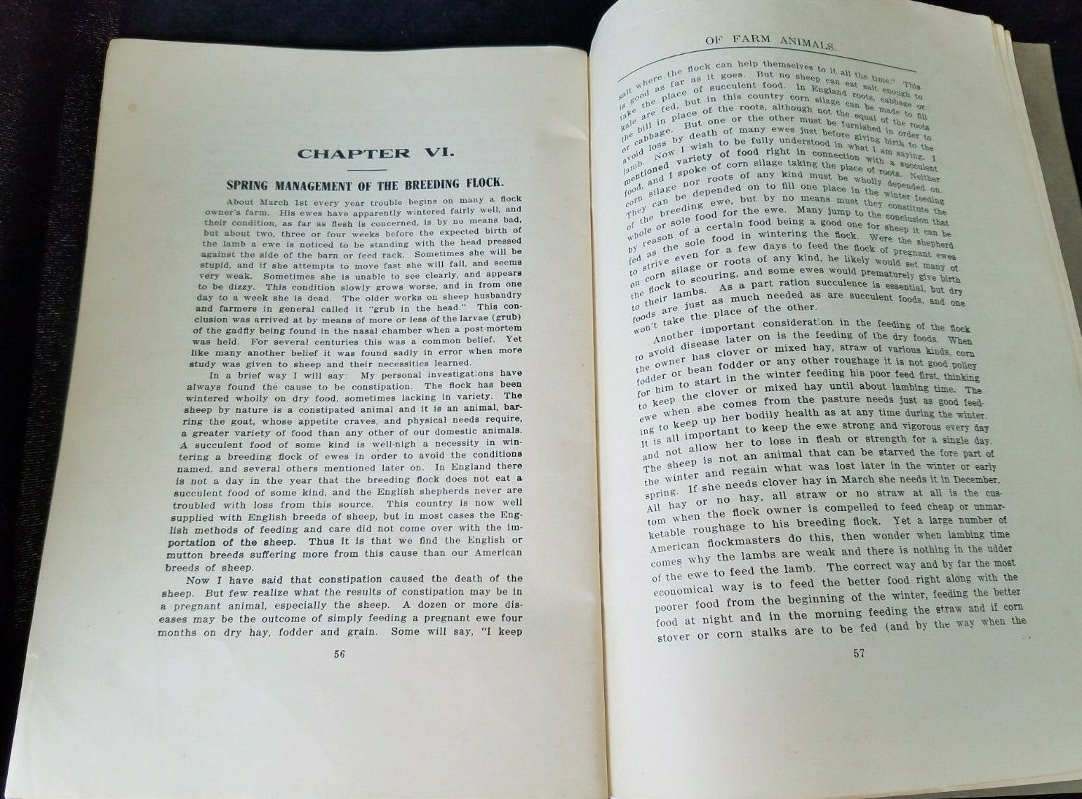 1911 Common Sense Treatment Farm Animals CD Smead National Stockman & Farmer
