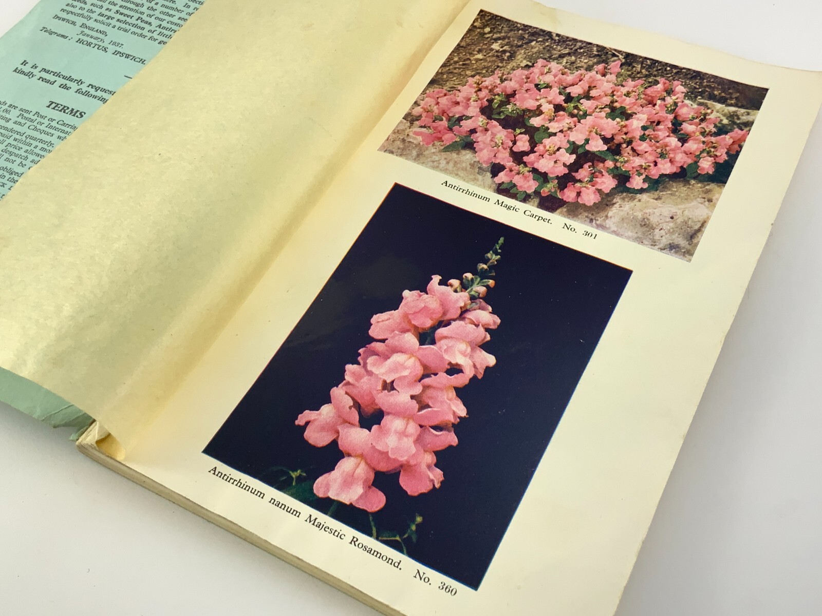 Thompson & Morgan 1937 Catalogue of Flower Vegetable Seeds Catalog EE634