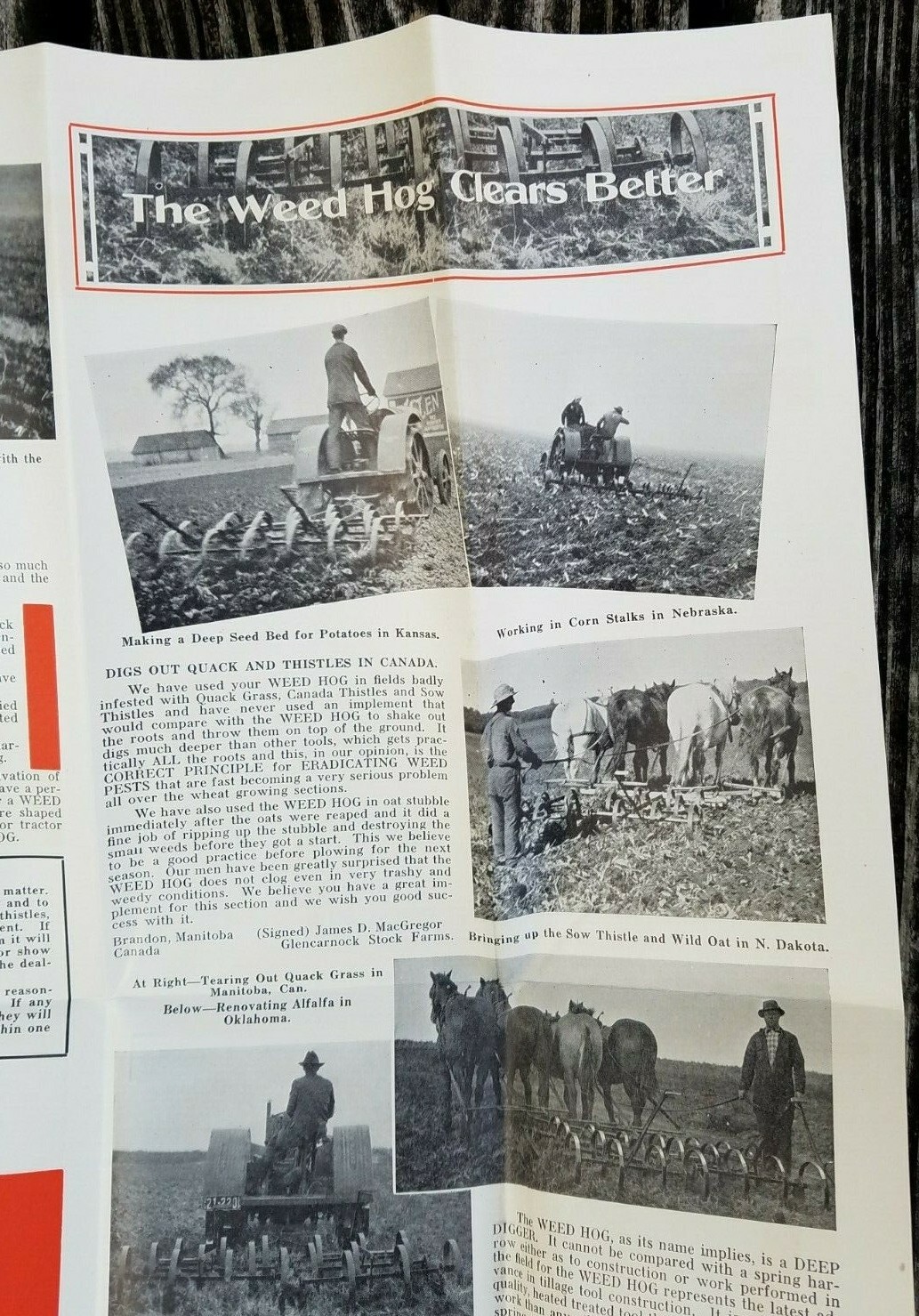 Old Farm Equipment Brochure Weed Hog Plow Harrow Babcock Mfg Leonardsville NY