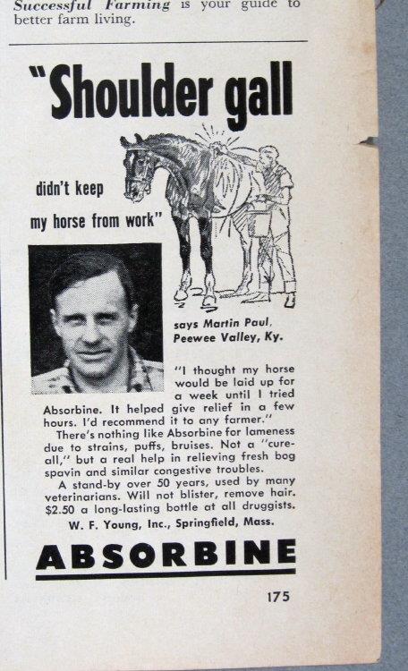 Original 1952 Animal Care Ad Photo Endorsed Martin Paul, Peewee Valley, Kentucky
