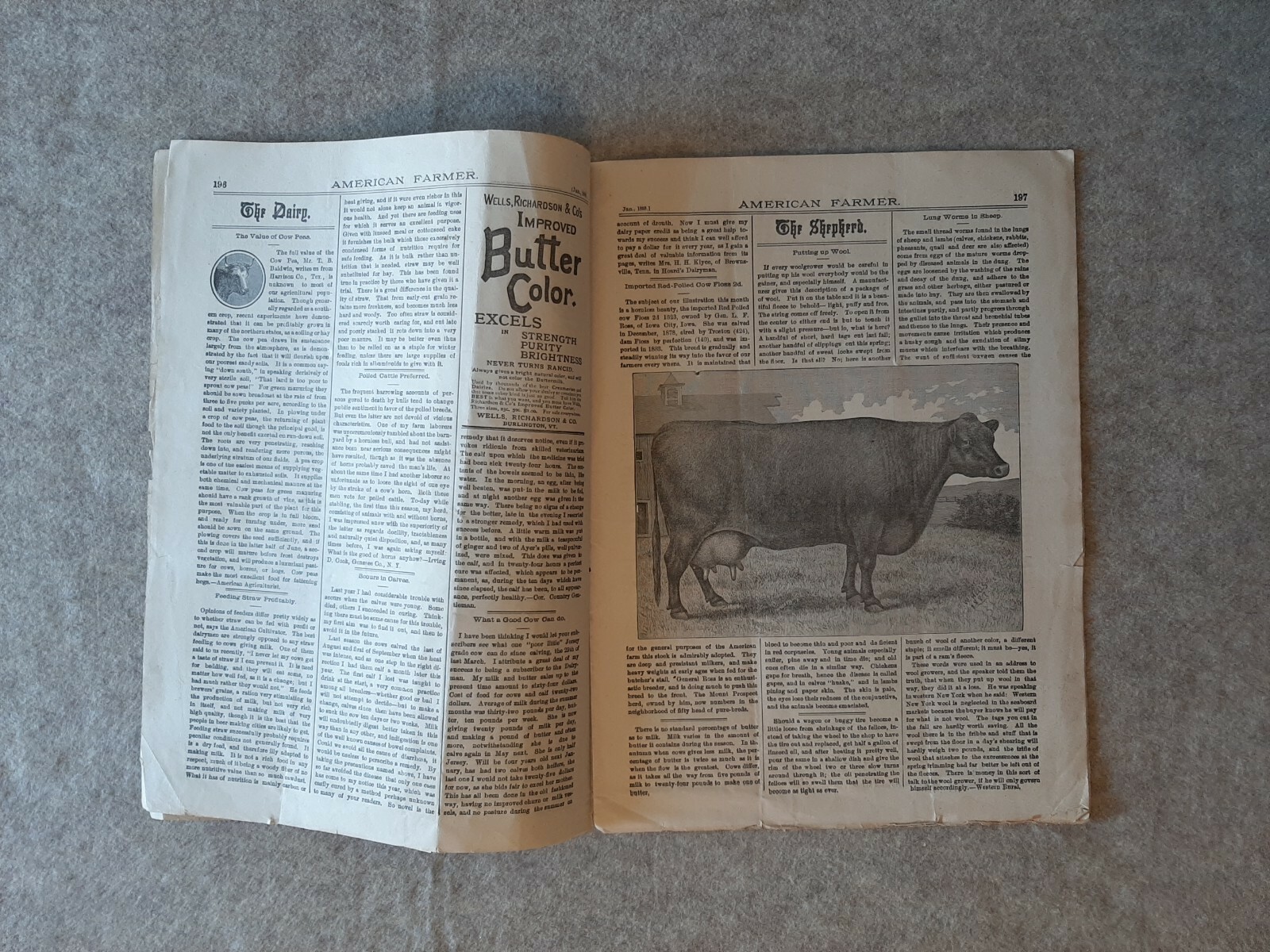 Jan. 1888 AMERICAN FARMER Magazine Fort Wayne Indiana No. 1 Vol. 8 Galloway Bull