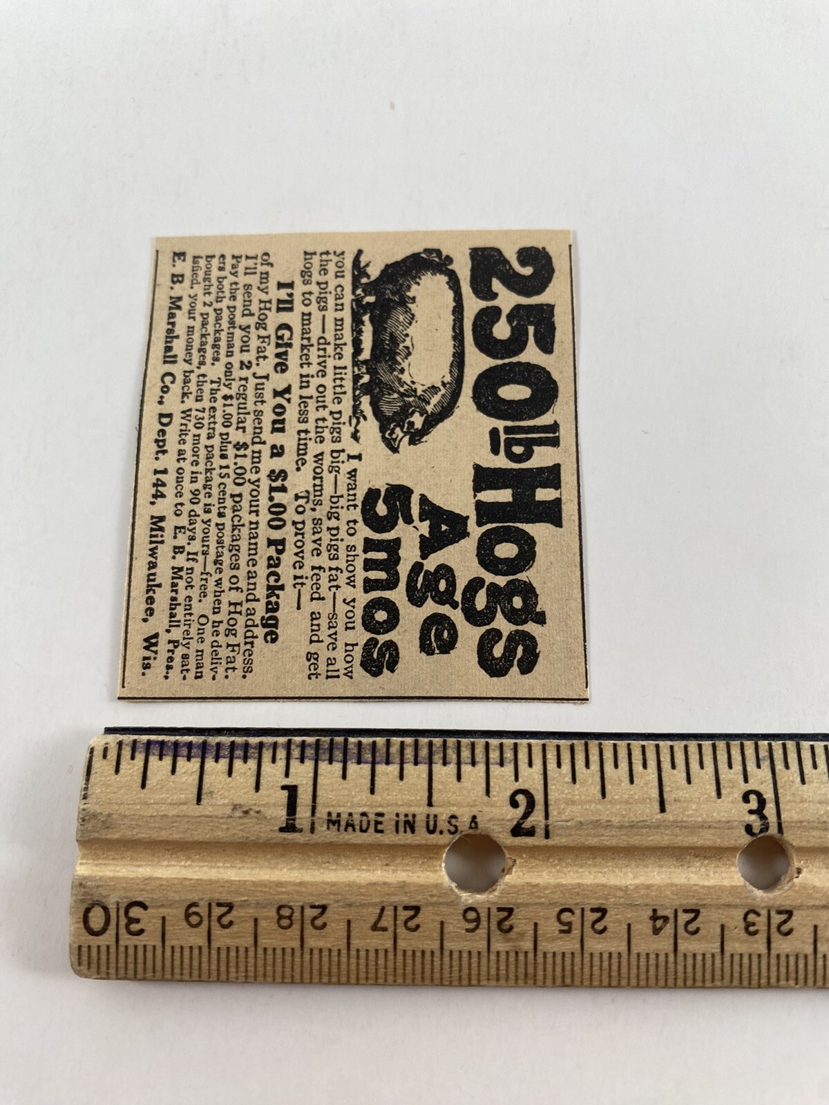 250 lb Hogs Antique 1927 Magazine Print Ad Old E.B. Marshall Pork Farm Milwaukee