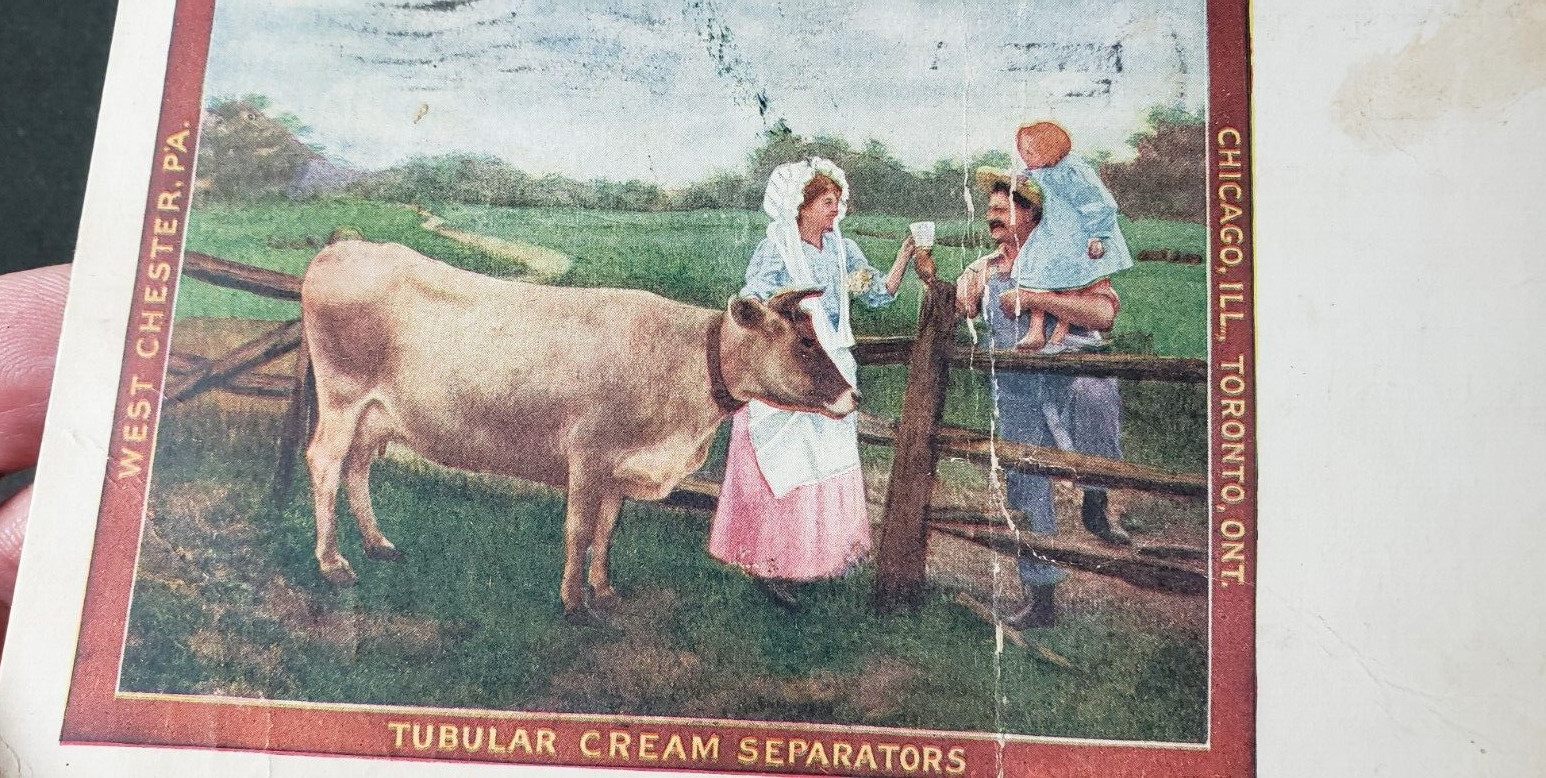 Sharples Separator Co Tubular Separators Advertising Postcard Cow 1909