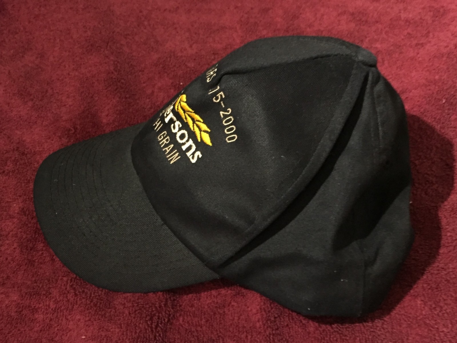The Andersons Delphi Grain Baseball Hat ~ 1975-2000 Corn Grain Farming Elevators
