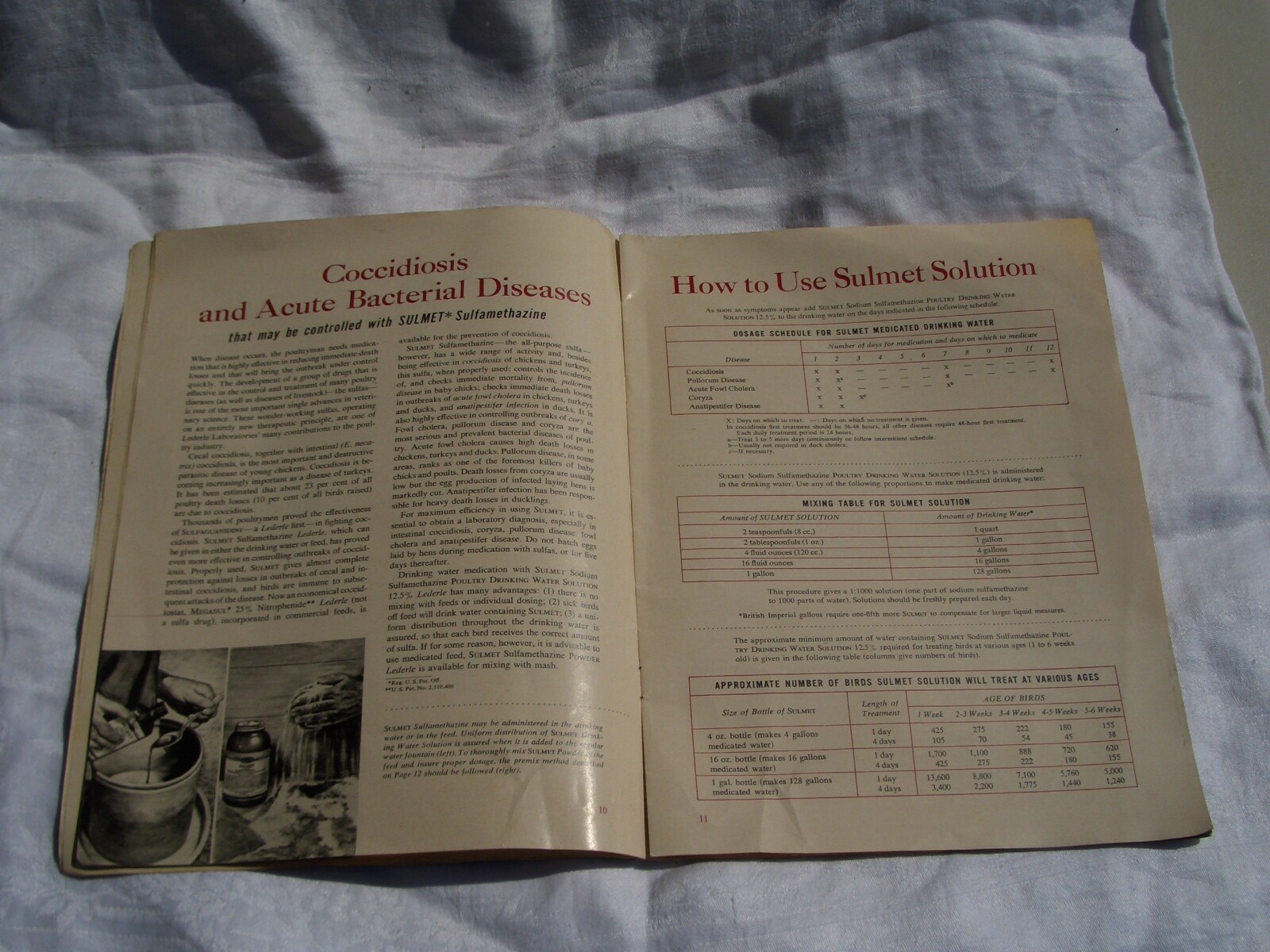 1951 Control of Poultry Diseases *Lederle Lab Chicken Treatment *Ships Free 2 US