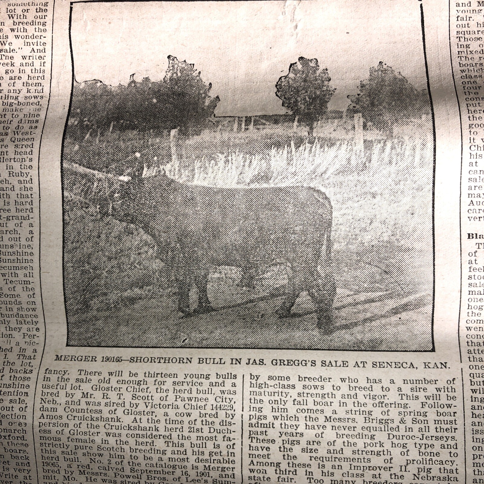the twentieth century farmer weekly1904
