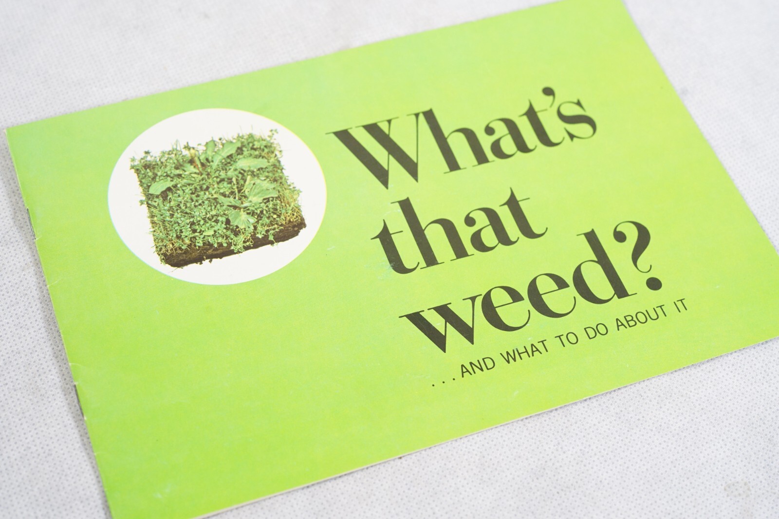 Whats That Weed? Original Vintage Agricultural Brochure Scotts Turf Builder