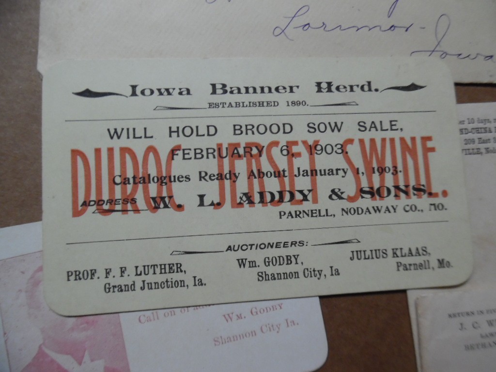 1902-1903 H W Turney Poland China Hog Breeder Archive Letters More Lorimor Iowa