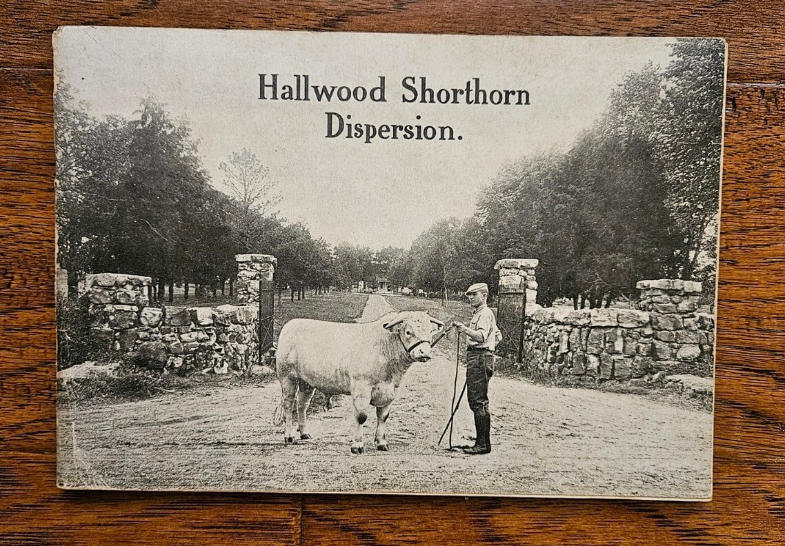 Shorthorn Cattle Dispersion Carthage Missouri 1916 with 65 Lots Breeders