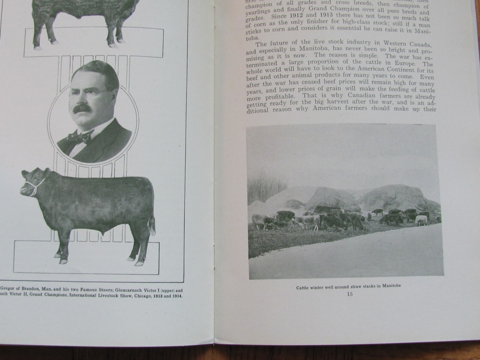 1917 FARMING BOOKLET LIVESTOCK RAISING IN MANITOBA CANADA IMMIGRATION DEPT
