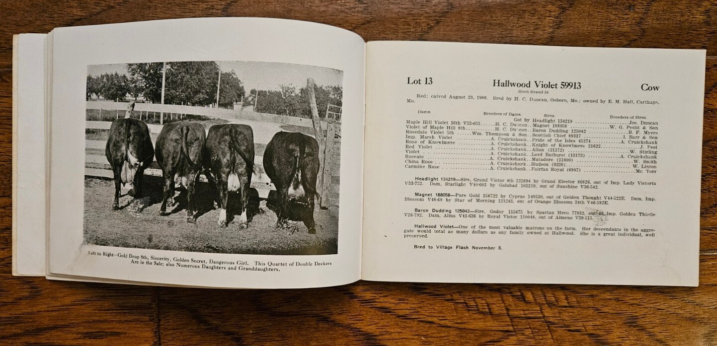 Shorthorn Cattle Dispersion Carthage Missouri 1916 with 65 Lots Breeders