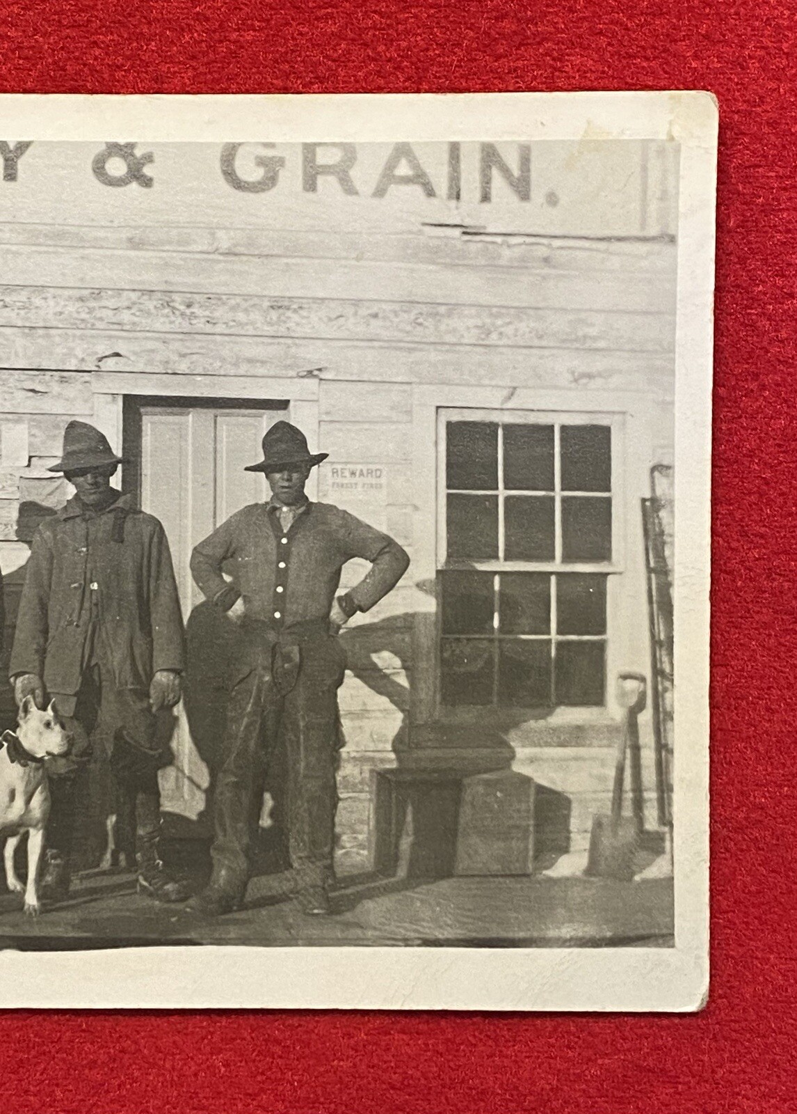 1900c **EARLY HAY & GRAIN STORE** ORIGINAL {UNUSED} REAL PHOTO POSTCARD (RPPC)!