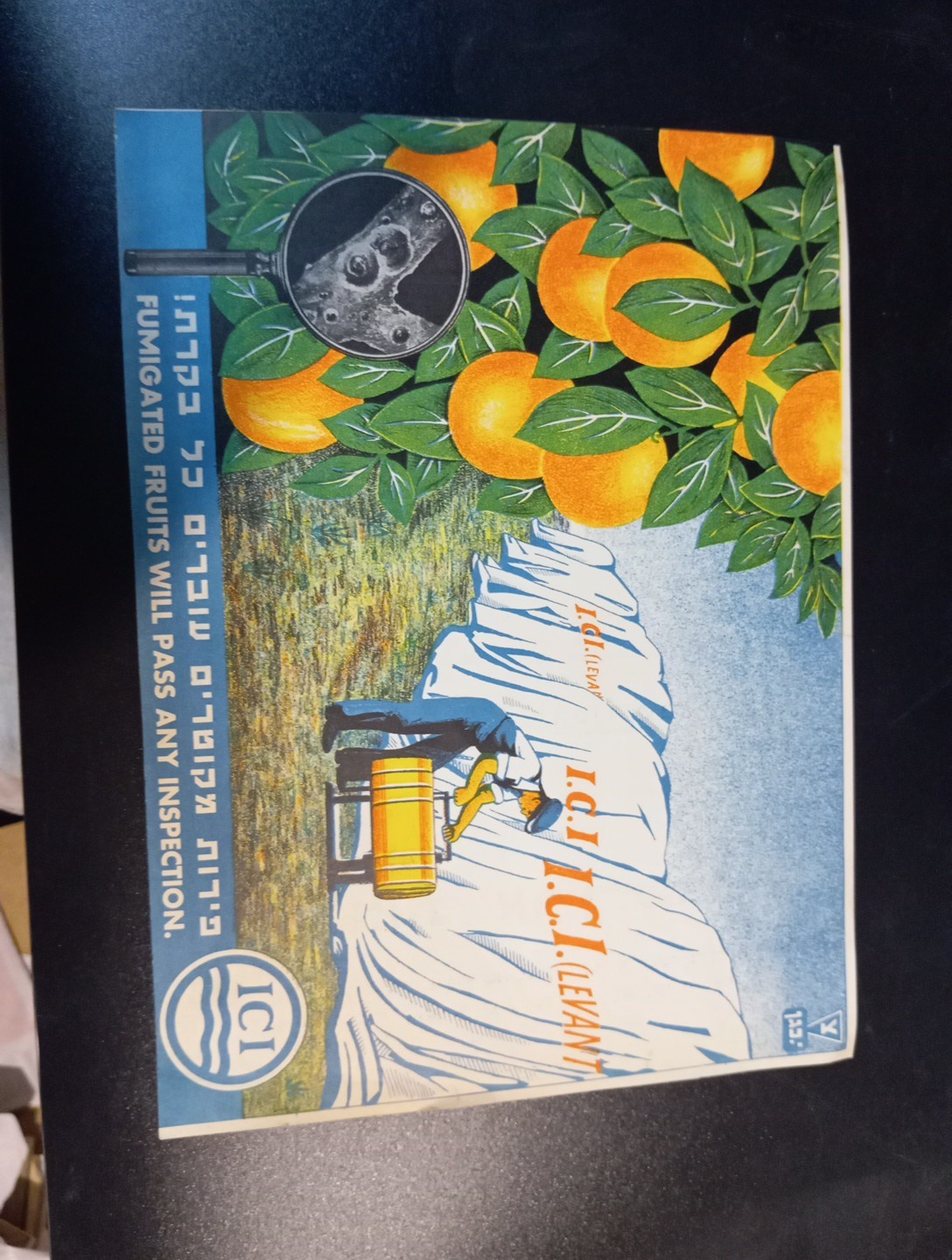 palestine jaffa orange judaica