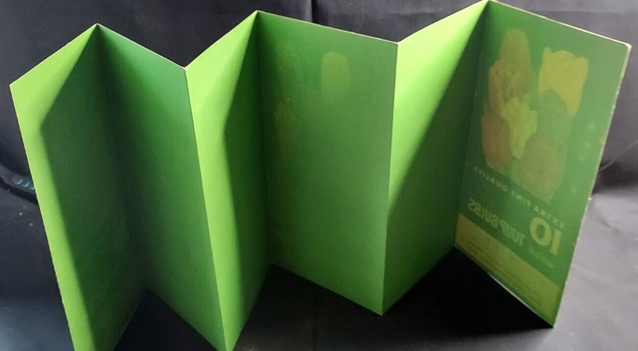 Old Advertising Promotional Folder Associated Bulb Growers Of Holland Tulips