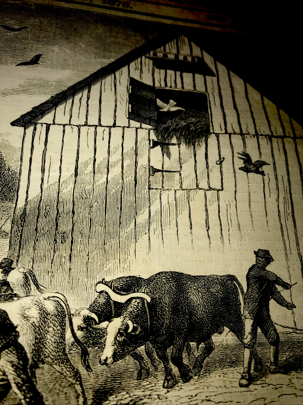 ORIGINAL 1873 Cattle Farm Barn Engraving Advertising