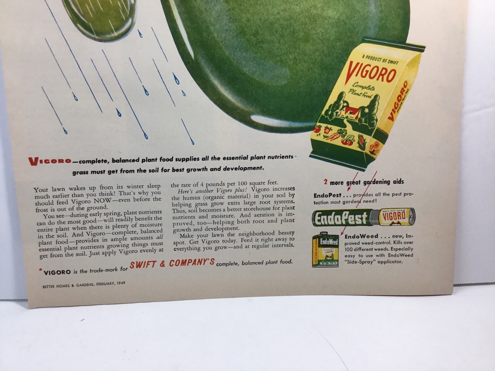 1949 Vigoro Plant Food, Essential Plant Nutriends. Original Print Ad.
