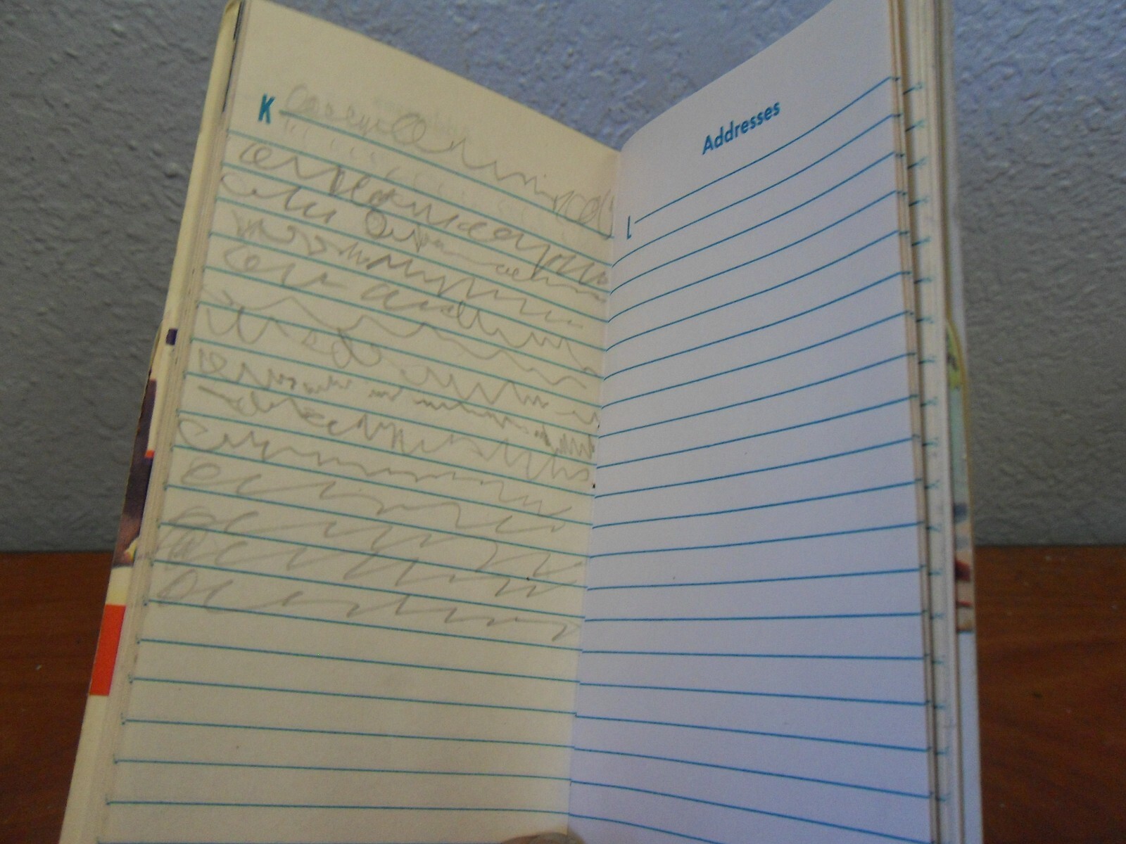 1949 -50 Swift’s Plant Food Service Red Steer Notebook Pocket Book Used