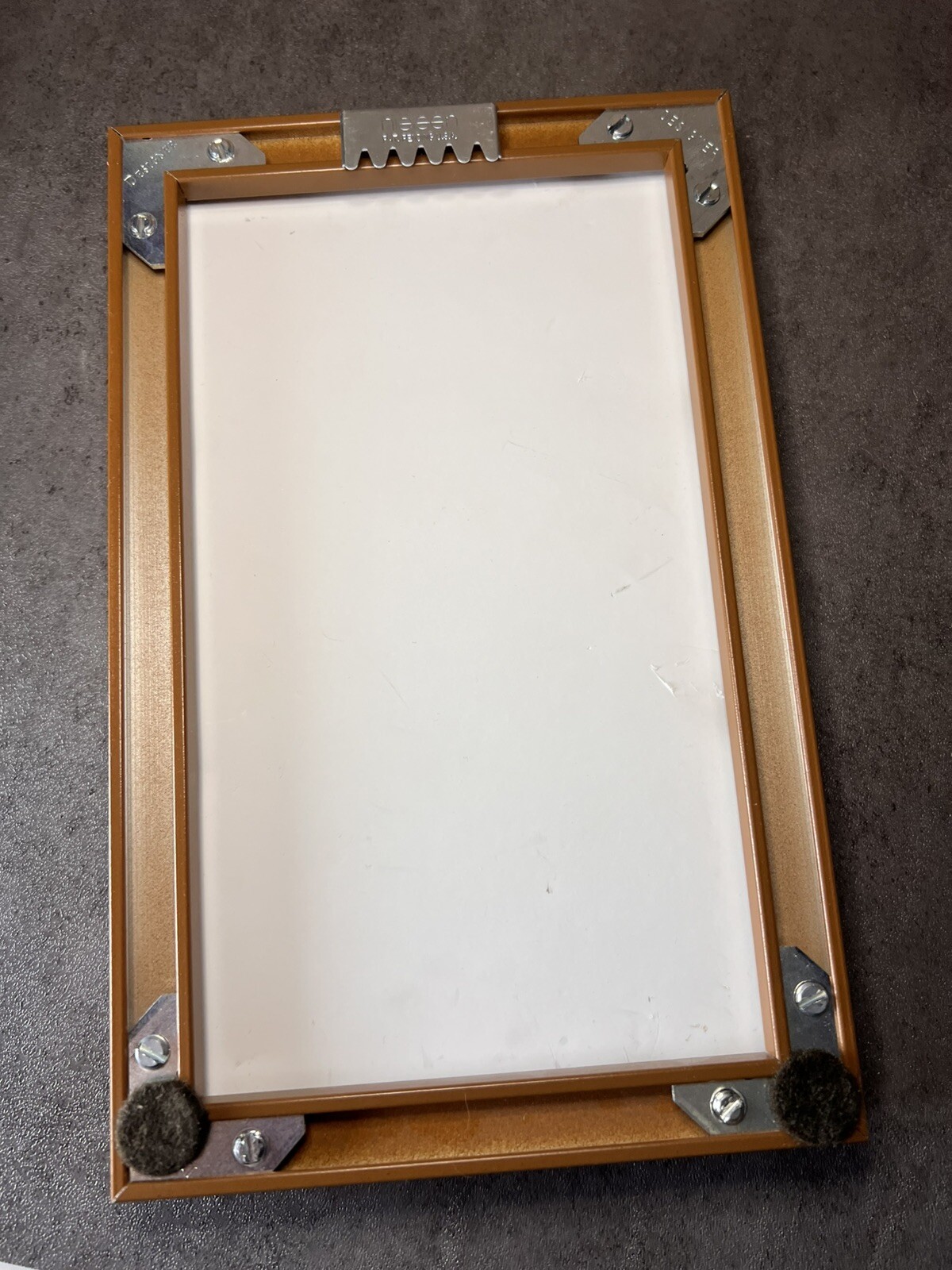 Vtg Yearbook US. Dept Agriculture Framed Pecans Lithograph Plate VIII E.L.Schutt
